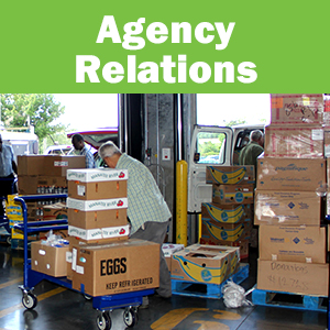 Agency Relations