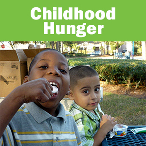 Childhood Hunger Resource Link