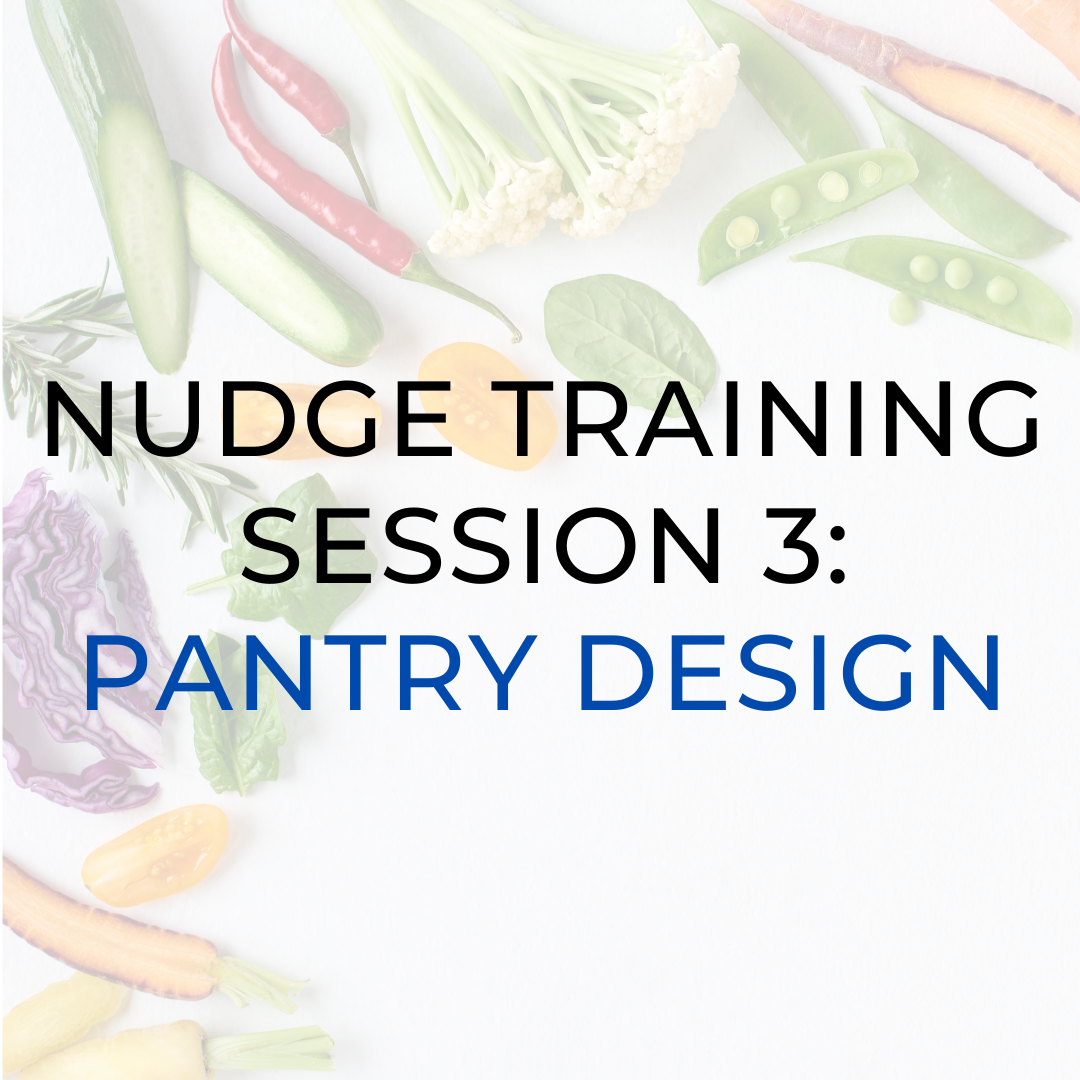 Nudge Training Session 3
