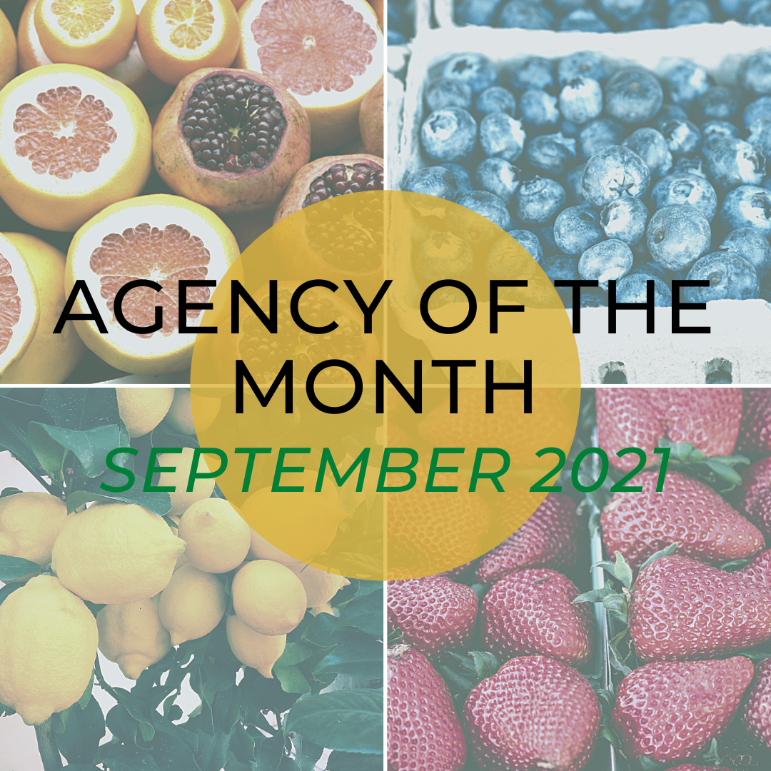 Agency of the Month