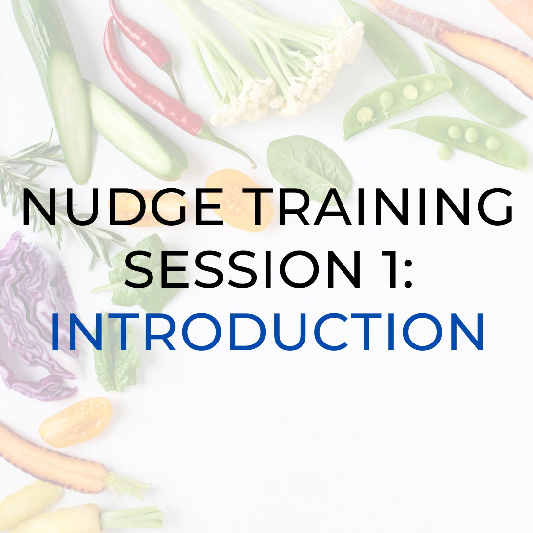 Nudge Training Session 1