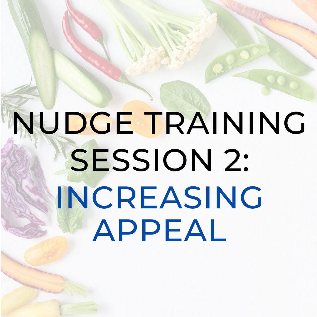 Nudge Training Session 2