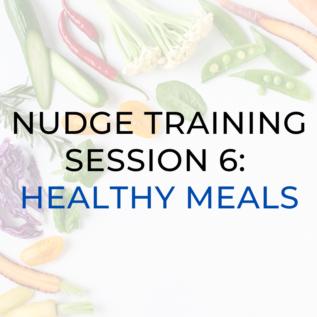 Nudge Training Session 6